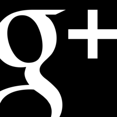 Google Plus Square Logo Sticker Svg Vector, Free Vectors File